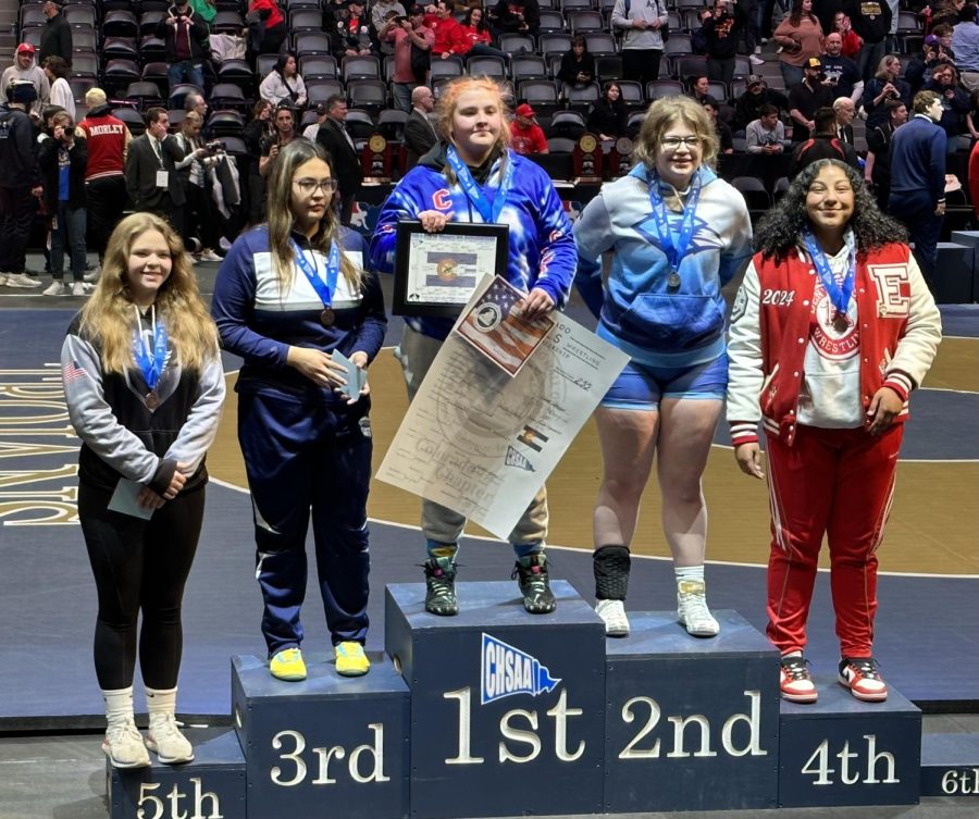 +GJHS+freshman+Rya+Burke%2C+far+left%2C+is+on+the+podium+at+the+girls+state+wrestling+tournament+in+Denver.+She+took+fifth+place+for+the+School+District+51+combined+team+called+the+Phoenix.%0A%0A