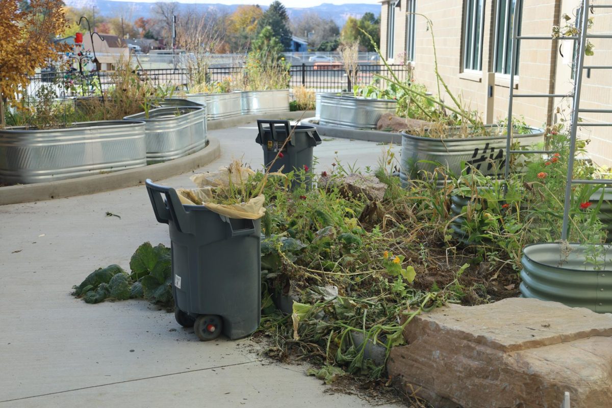 This captures the special education garden, located near the first floor exit under the stairway. Students and staff are working to get rid of the current garden and turn it into a sensory garden for special education students.
